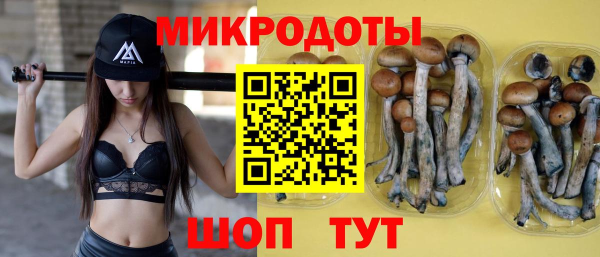 Королёв  Галлюциногенные грибы Magic Shrooms  где можно купить   Вход с VPN 